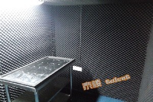深圳泰棱 靜音房靜音室消聲室隔
